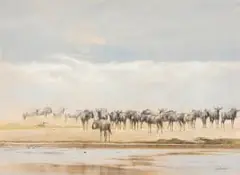 Kim Donaldson, Wildebeeste, pastel on paper laid down on card
