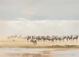 Kim Donaldson, Wildebeeste, pastel on paper laid down on card