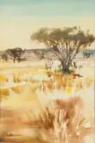 Ulrich Schwanecke, Veld (S.W.A).