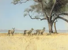 Kim Donaldson, Waterbuck and Baboons, pastel on paper laid down on board