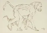 Zakkie Eloff, Baboon II