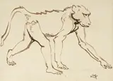 Zakkie Eloff, Baboon I