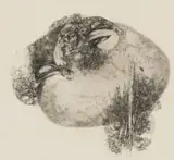 Ezrom Legae, Bird Egg Hatching, pencil on paper
