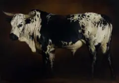 Jaco van Schalkwyk, Inguni Emnyama, oil on canvas