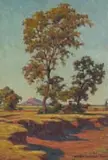 Erich Mayer, Donga