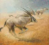 Dorelle Humphrey Sapere, Kalahari Gemsbok, oil on board