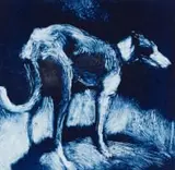 Clare Menck, Windhond