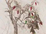 Phillemon Hlungwani, Tsengele Dontswi (Chilli Tree), drypoint and aquatint on paper