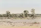 Walter Westbrook, Landscape