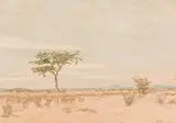Adolph Jentsch, Landscape