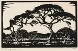 DooringBoom, Potgietersrust (Nilant 62) by Jacobus Hendrik Pierneef, linocut on paper, sold Jul 2022