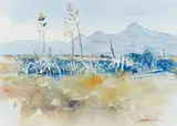 Ulrich Schwanecke, Sisal Plants Karoo