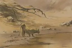 Kim Donaldson, Lioness, pastel on paper
