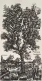 Hope in the Green Leaves by William Kentridge, 2013, linocut and ink wash on paper, sold Sep 2022