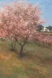 John Meyer, Blossoms