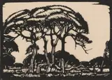 Mimosa, S.W.A. (Nilant 104) by Jacobus Hendrik Pierneef, linocut on paper laid down on card, sold Jul 2022