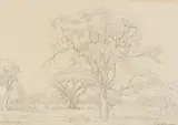 Jacobus Hendrik Pierneef, Pontdrif, Limpopo, pencil on paper