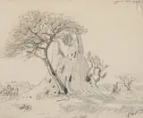 Jacobus Hendrik Pierneef, Anthill, S.W.A., pencil on paper