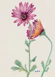 African Daisies by Walter Battiss, watercolour on paper, sold Jun 2022
