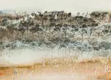 Gordon Vorster, Herd of Zebra, watercolour on paper