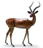 Danie de Jager, Impala Ram