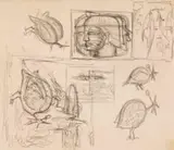 Alexis Preller, Young King and Guinea Fowl, sketches, pencil on card