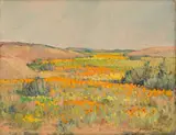 Piet van Heerden, Namaqualand