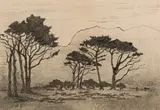 Nita Spilhaus, Landscape with Trees, etching on paper