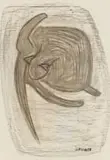 Charles Gassner, Cat Grooming, charcoal on paper