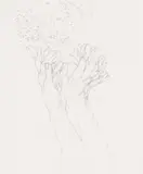 Judith Mason, Contemplation, photolithograph on paper