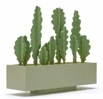 Henry Davies, Cactus Box, painted wood