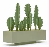 Henry Davies, Cactus Box, painted wood