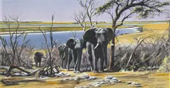 Paul Augustinus, Elephants by a River, oil on canvas