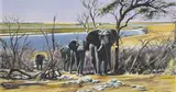 Paul Augustinus, Elephants by a River, oil on canvas