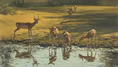 Dino Paravano, Impala Drinking at the Waters Edge, oil on canvas