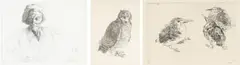 François Krige, Portrait of a Man; Owl; and Kingfisher Chicks, three, etching
