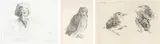 François Krige, Portrait of a Man; Owl; and Kingfisher Chicks, three, etching