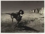 Jo Ratcliffe, Nadir 2, screen printed photographic lithograph