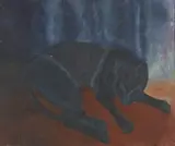 Paul du Toit, Cat Sleeping