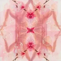 Tracy Payne, Budding Yin I, quadriptych, oil on canvas