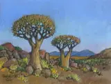 Conrad Theys, Quiver Trees