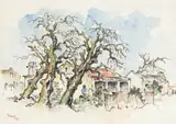 Conrad Theys, Street with Trees