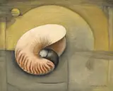 Ernst de Jong, Nautilus