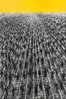 Setlamorago Mashilo, Land Grabs on the Rise, charcoal and oil on Fabriano paper