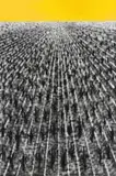 Setlamorago Mashilo, Land Grabs on the Rise, charcoal and oil on Fabriano paper