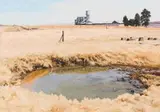 Sipho Ndlovu, Near Fourisburg (sic)