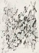 Stephen Hobbs, Dappled Bunker, sugarlift aquatint and hardground etching