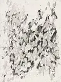 Stephen Hobbs, Dappled Bunker, sugarlift aquatint and hardground etching