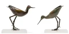 Robin Lewis, Pair of Godwits, two