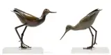Robin Lewis, Pair of Godwits, two